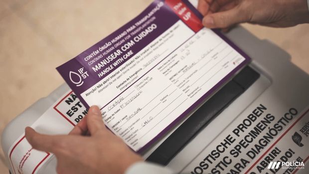 Vídeo Natal PSP /video-natal-psp