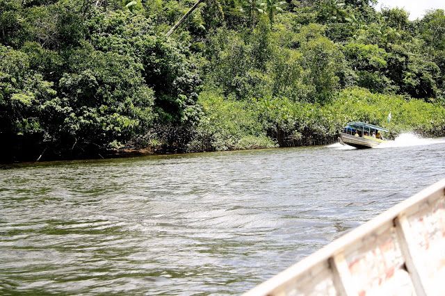 Onde começa o Brasil? Conheça o Oiapoque! - 36