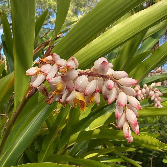 Tours November 2022 - 45