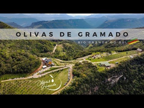 Olivas de Gramado - Vale a pena! Passeio incrível pra toda a família /olivas-de-gramado-vale-a-pena-passeio-incrivel-pra-toda-a-familia