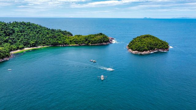 Bem-vindos à Ilha das Couves /bem-vindos-a-ilha-das-couves