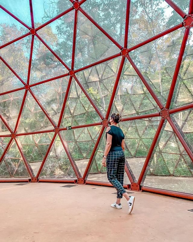 Conhece Inhotim? /conhece-inhotim