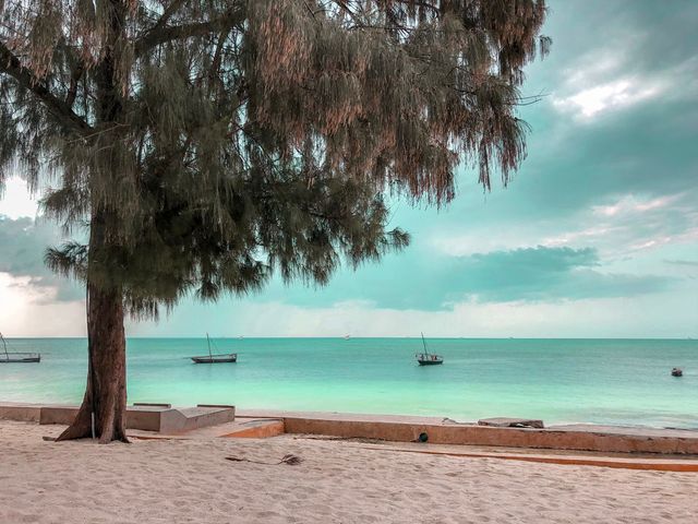 Dicas rápidas de Zanzibar: o que saber antes de ir /dicas-rapidas-de-zanzibar-o-que-saber-antes-de-ir