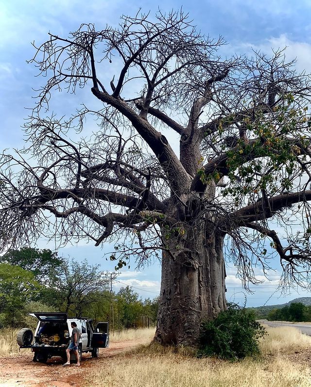 A spectacular end enriching new series for GloboPlay, Brazil. Produced by EDIA.etc. Documenting the fenomenal logistics ofThe most luxurious train, ROVOS RAIL, in the world. An extraordinary finish at the Victoria Falls 🤩 - 4