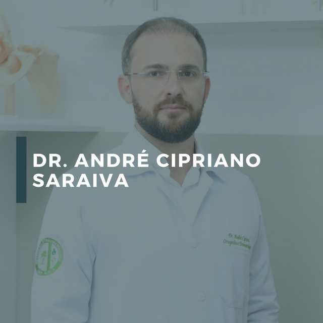 Dr.André Cipriano Saraiva Gomes (PI) /drandre-cipriano-saraiva-gomes-pi