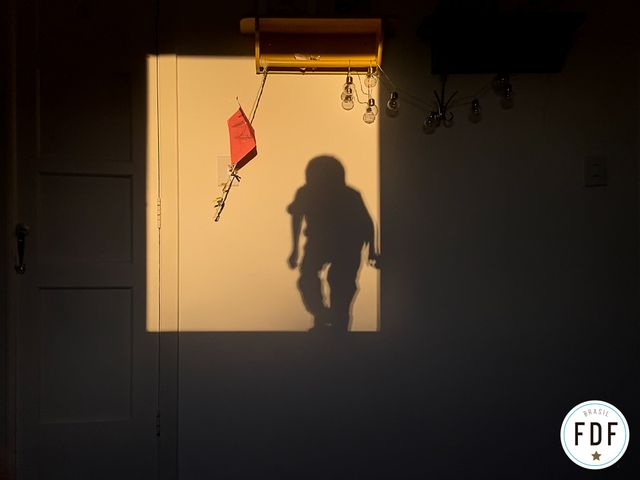 Resultados dos concursos do FDF /resultados-dos-concursos-do-fdf