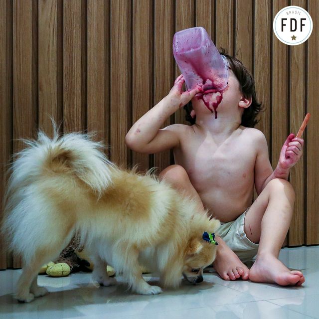 Quarto concurso - Pets /quarto-concurso-pets