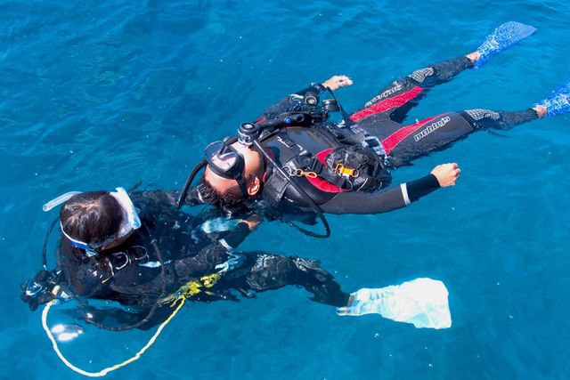 Curso de Resgate - Padi Rescue Diver /curso-de-resgate-padi-rescue-diver