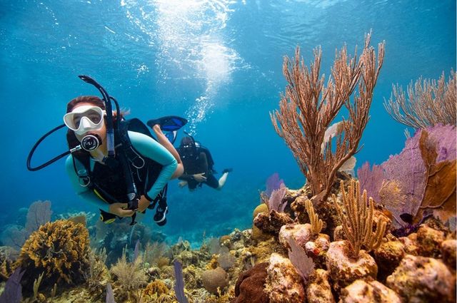 Curso de Mergulho Básico - Padi Open Water /curso-de-mergulho-basico-padi-open-water
