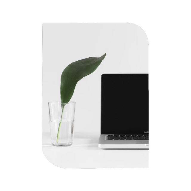 Atualização de Site /atualizacao-de-site