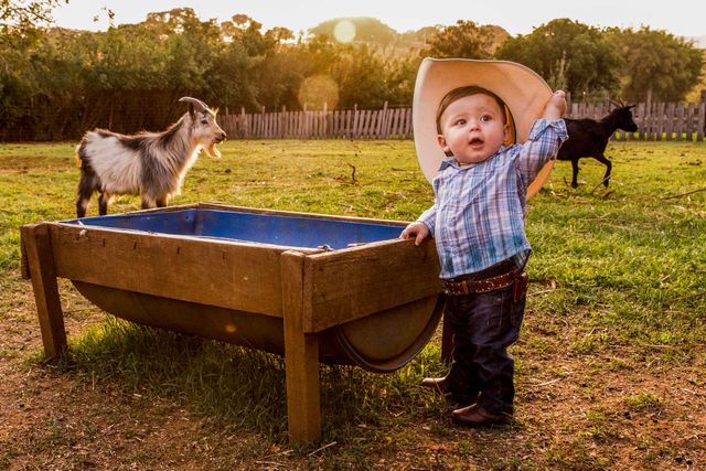 Fazendinha com João Gabriel em Santo Antônio da Alegria SP /fazendinha-com-joao-gabriel-em-santo-antonio-da-alegria-sp