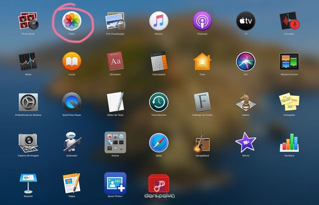 Organizando as Suas Fotos Digitais /organizando-as-suas-fotos-digitais