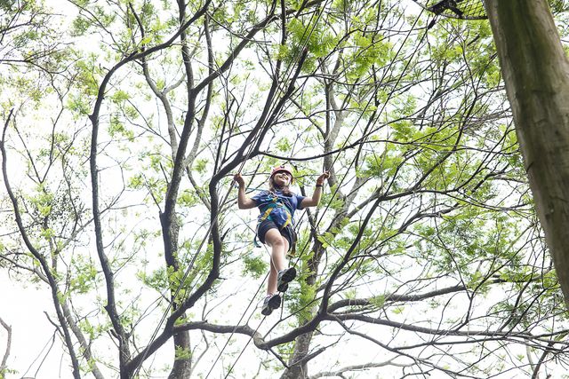 Aventura no Parque da Catacumba: A Festa Inesquecível de Joana /aventura-no-parque-da-catacumba-a-festa-inesquecivel-de-joana