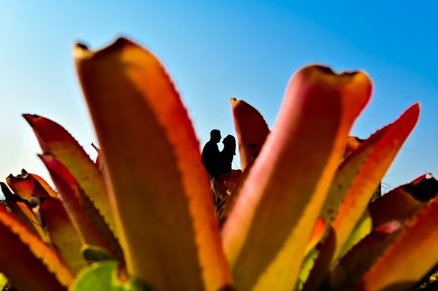 Julia & Edgar /julia-edgar