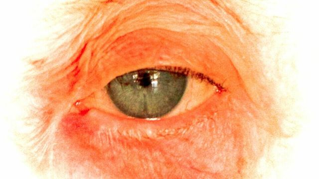 ALFAZINE ESTÁ REPAGINADA ! ENTENDA AQUI /alfazine-esta-repaginada-entenda-aqui