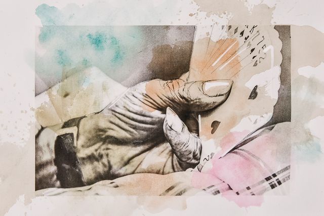 Intervenções /intervencoes