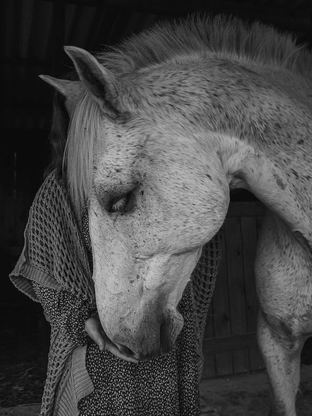 Cura-Dor de Vida /cura-dor-de-vida