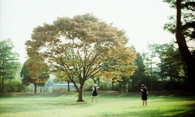 FOTOGRAFIA E SOCIEDADE – CÂMERAS LOMO E POINT SHOOT /fotografia-e-sociedade-cameras-lomo-e-point-shoot