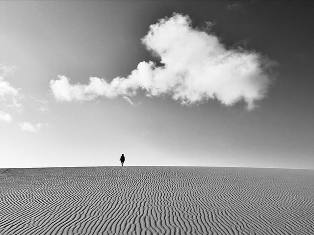 MAIOR FESTIVAL DE FOTOGRAFIA FEITA COM CELULAR DA AMERICA LATINA /maior-festival-de-fotografia-feita-com-celular-da-america-latina