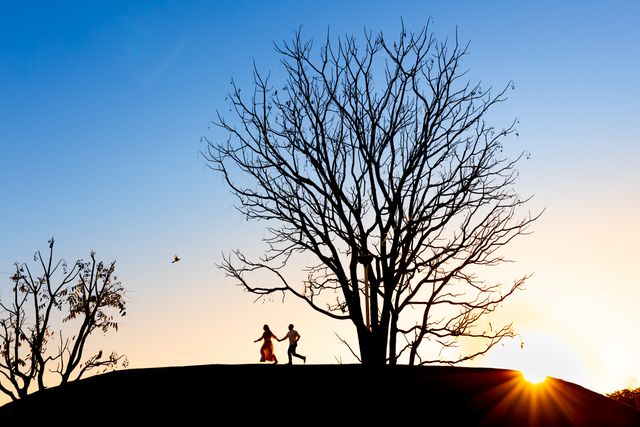 Fernanda e Arthur /fernanda-e-arthur