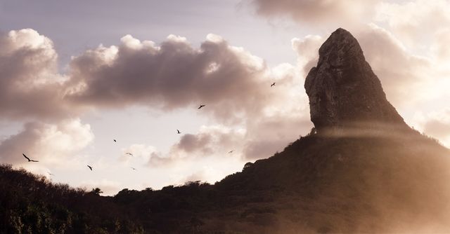 Fernando de Noronha /fernando-de-noronha