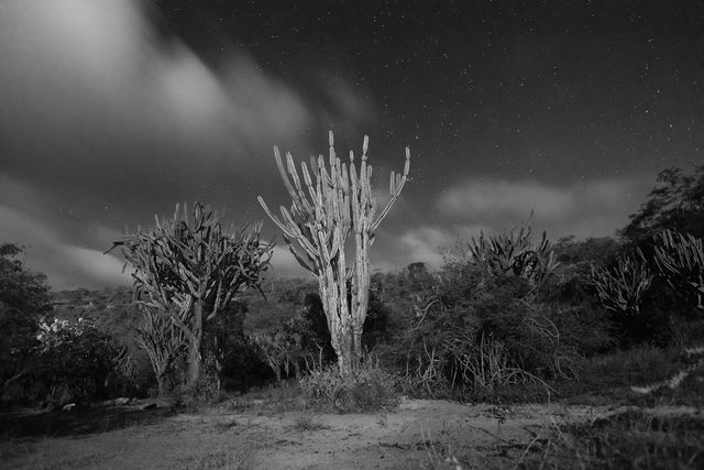 Raso da Catarina /raso-da-catarina