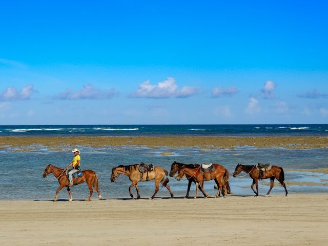Vida numa Ilha /vida-numa-ilha