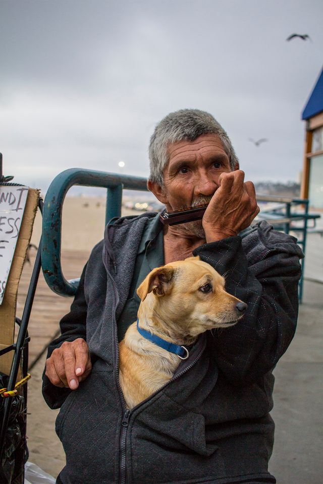 Fotos Aceitas e Premiadas /fotos-aceitas-e-premiadas