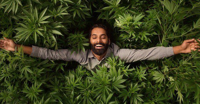 Filmes documentários e séries sobre a Cannabis: informação para além do clichê - 17