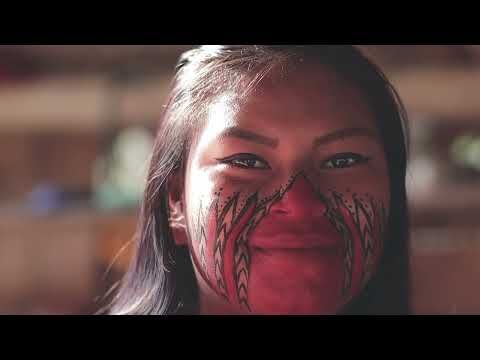 Floresta 2023 /floresta-2023