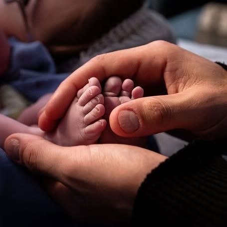 Bem-vindo, Nicolas! /bem-vindo-nicolas