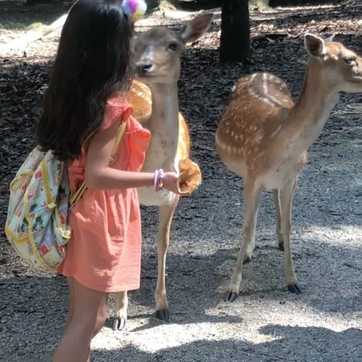 Tour Virtual de Munique - Alemanha - 17