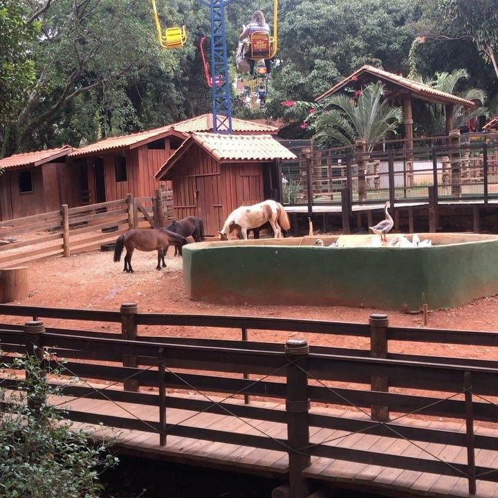 A nice place to visit with kids! Cidade da Criança - 2