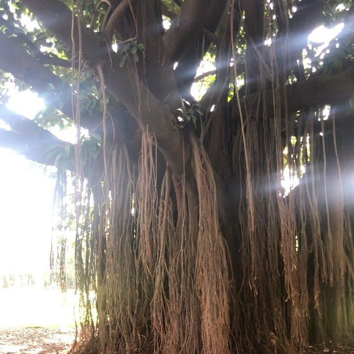 Tours January 2020 - 29