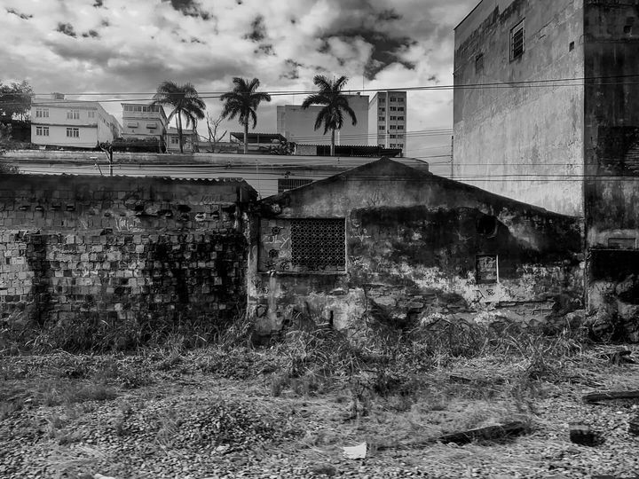 Artístas Visuais Internacionais - 2