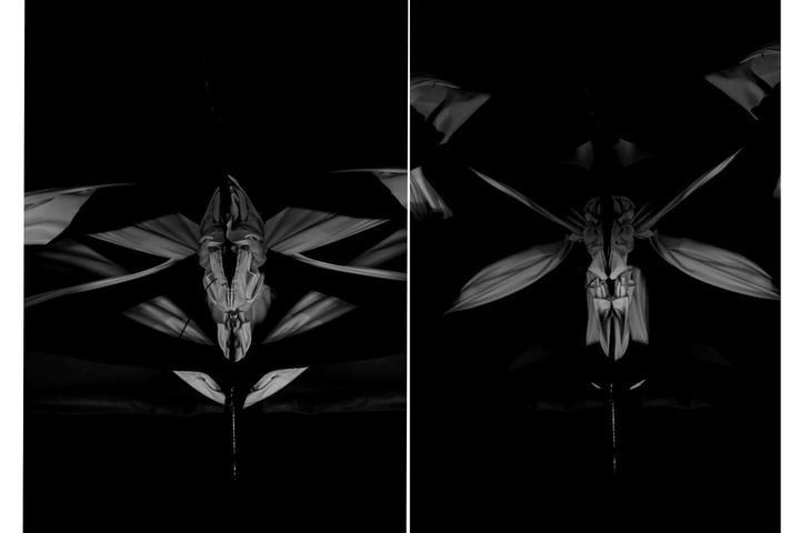 A Natureza de Tudo. Em Todas As Coisas. - 2