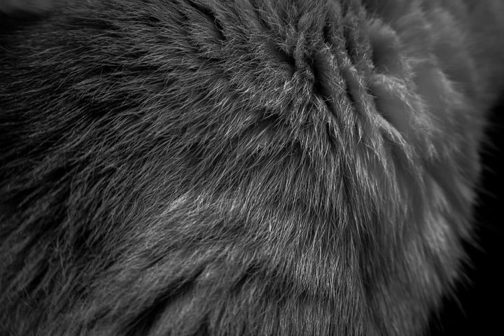 A Natureza de Tudo. Em Todas As Coisas. - 5