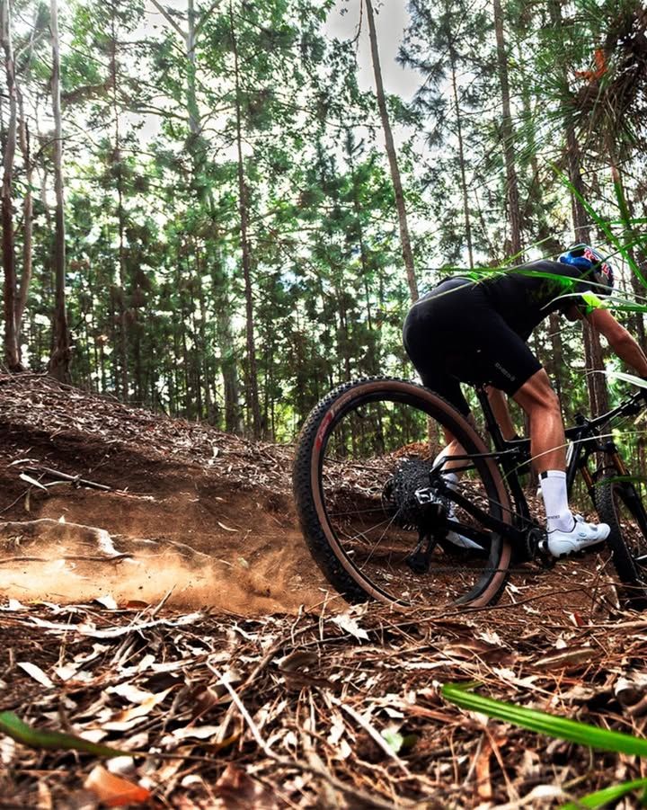 Foto e vídeo de ensaios, cobertura, documentários e muito mais... - 3