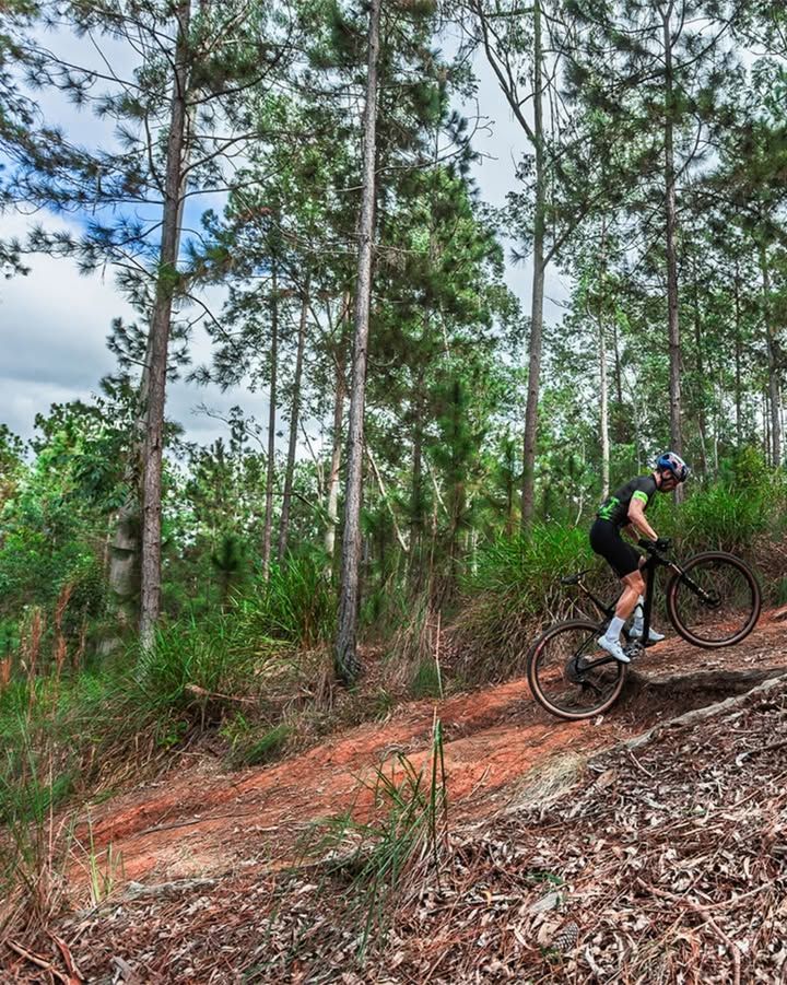 Foto e vídeo de ensaios, cobertura, documentários e muito mais... - 9