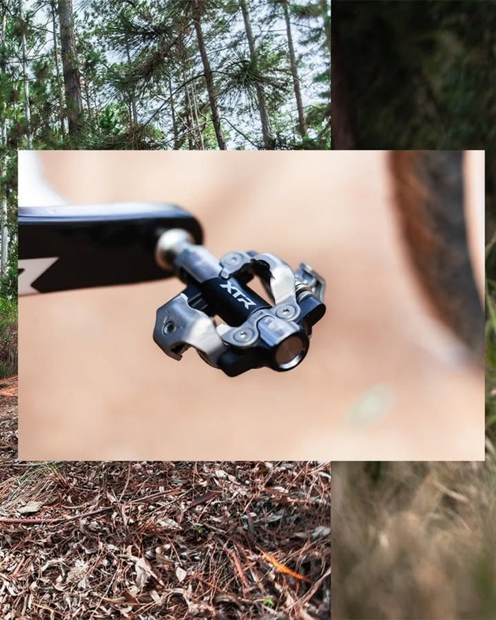 Foto e vídeo de ensaios, cobertura, documentários e muito mais... - 10