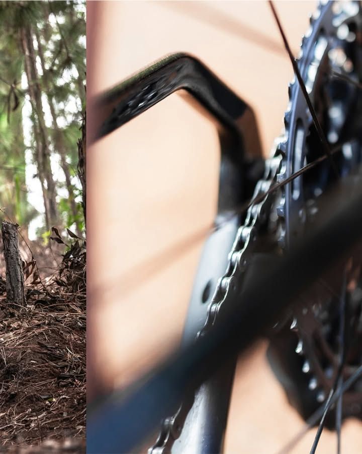 Foto e vídeo de ensaios, cobertura, documentários e muito mais... - 17