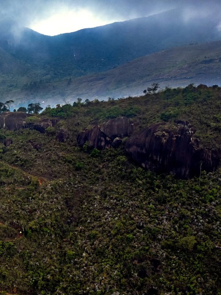 Foto e vídeo de ensaios, cobertura, documentários e muito mais... - 3