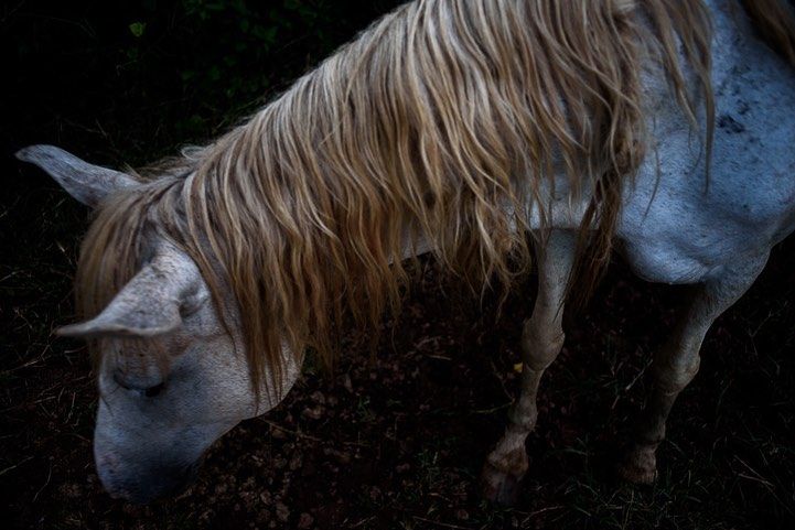 LUCIFERO - Monique Olive / AlfaAgency - 5