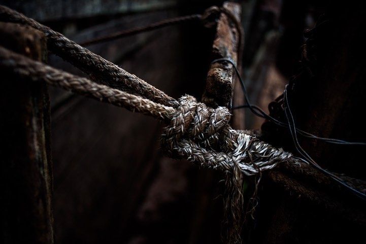 LUCIFERO - Monique Olive / AlfaAgency - 6