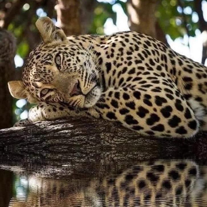 São Paulo during the pandemic - 7