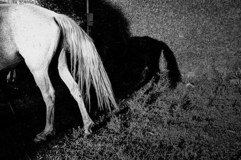 A Natureza de Tudo. Em Todas As Coisas. - 4