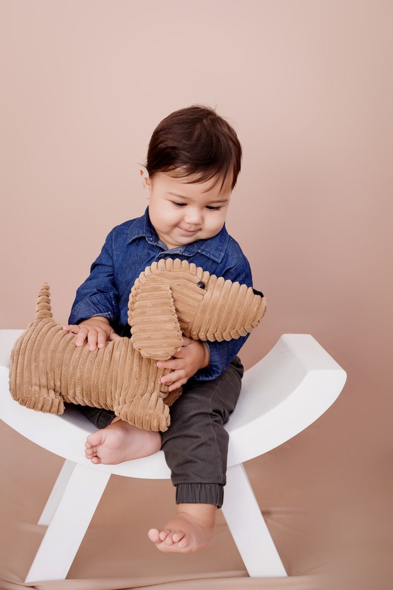 Victinho: Registrando Cada Fase do Primeiro Ano em Fotos - 6