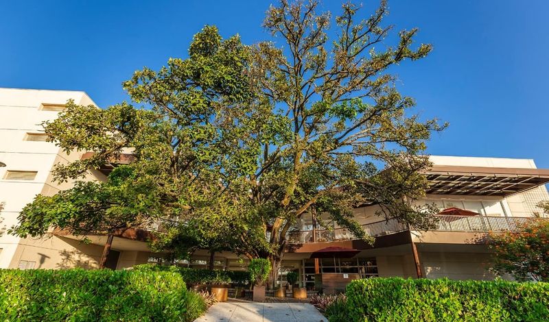 Iguatemi Rio Preto - happy hour com música ao vivo /iguatemi-rio-preto-happy-hour-com-musica-ao-vivo