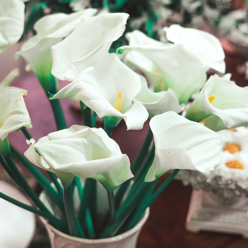 Você disse tulipas? Olha só essa decoração! - 2 - 0