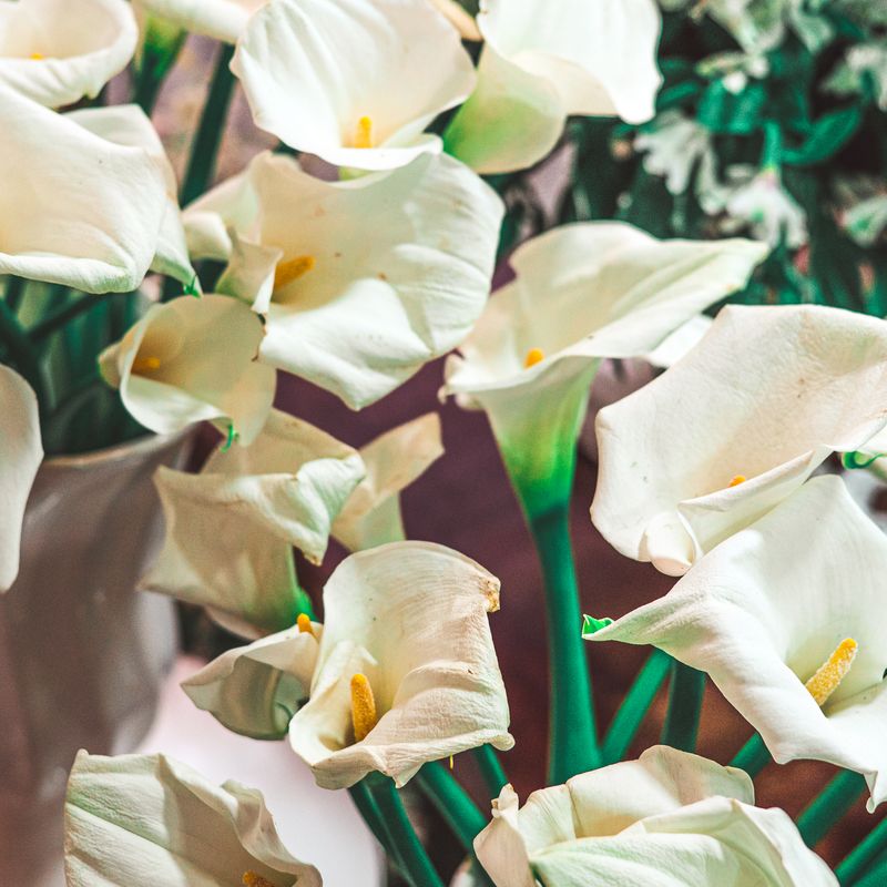 Você disse tulipas? Olha só essa decoração! - 2 - 0